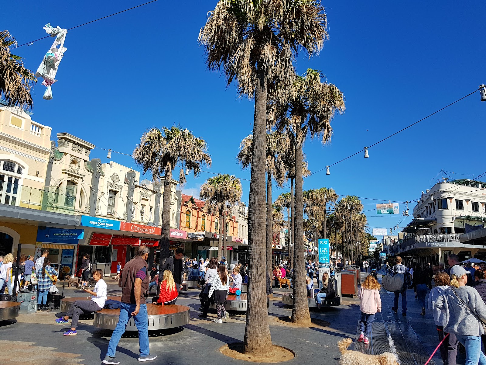 Manly Corso