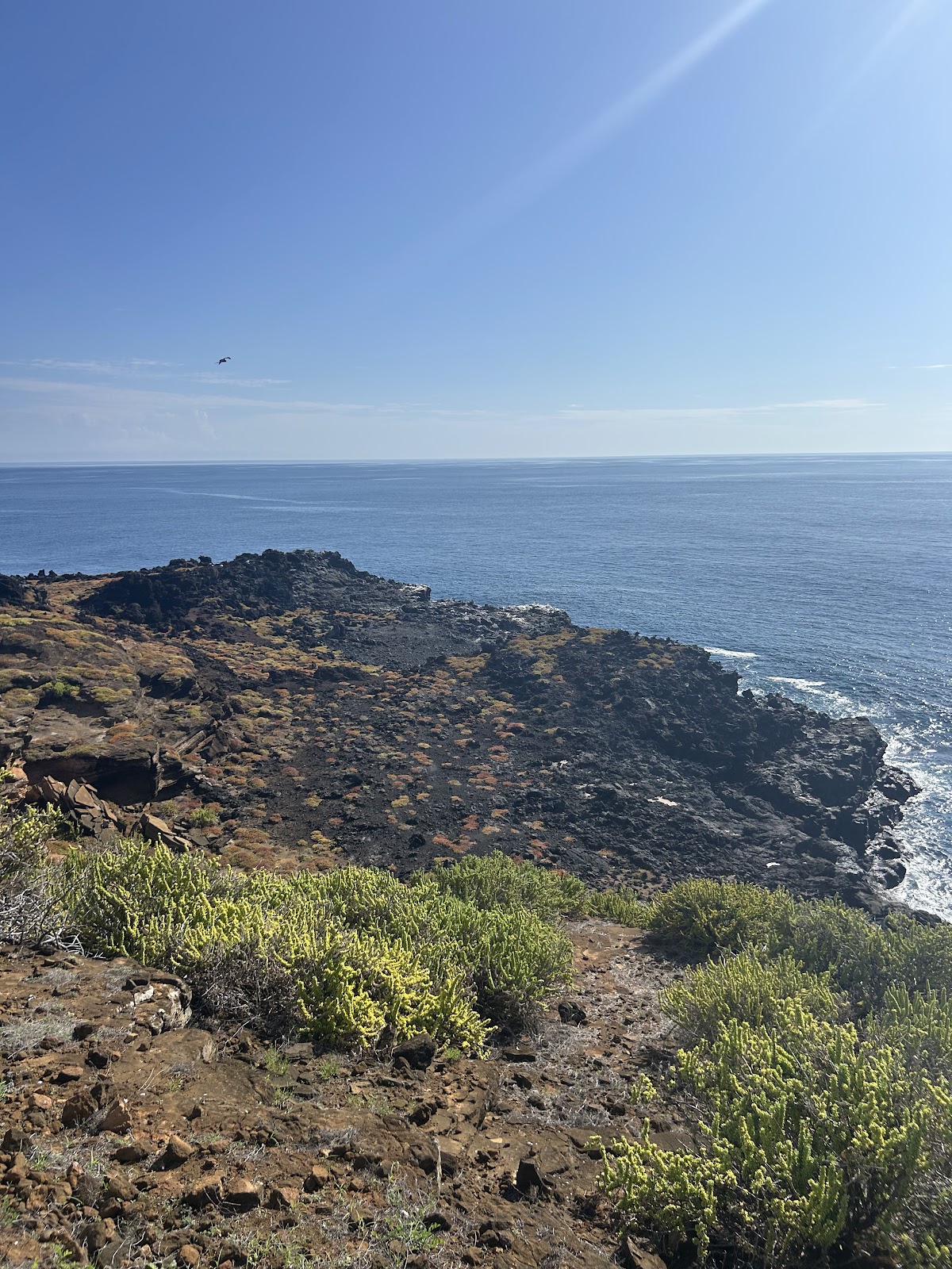 Punta Pitt