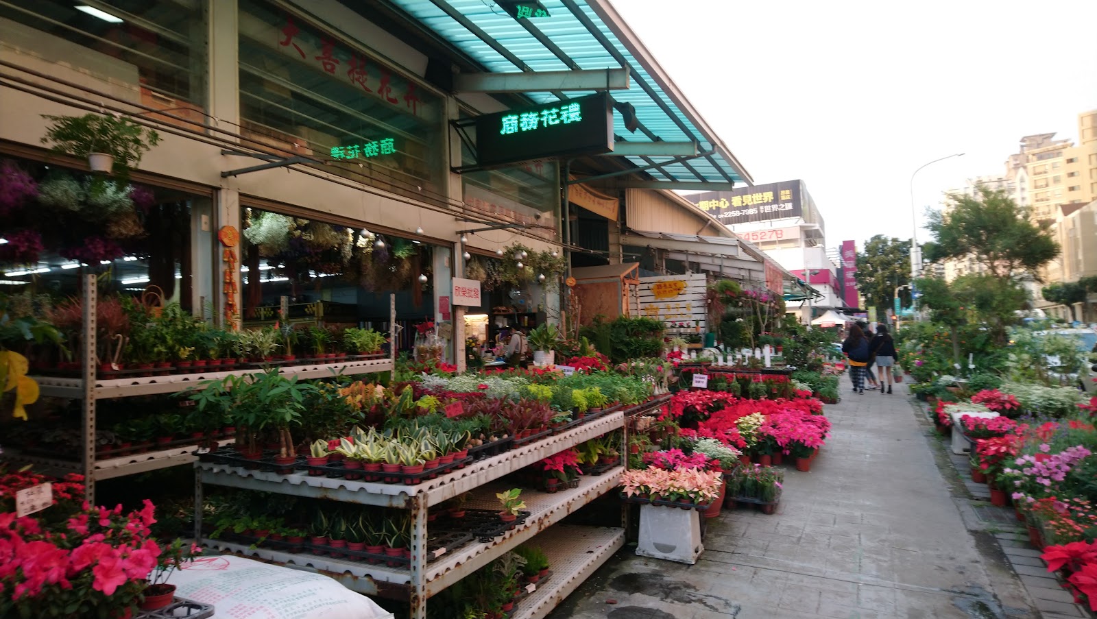 Taichung Flower Market