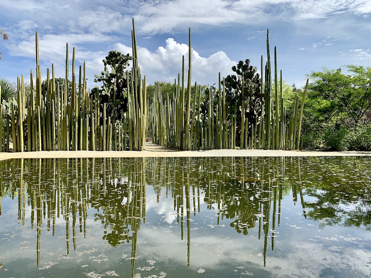 Ethnobotanical Garden of Oaxaca