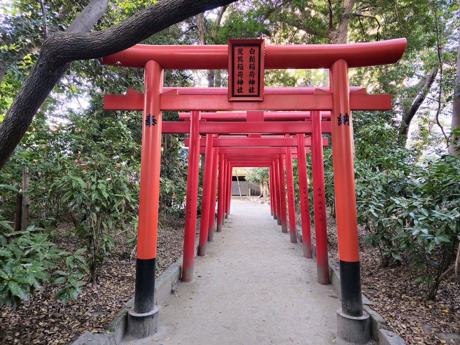 Sumiyoshi Shrine photo 2