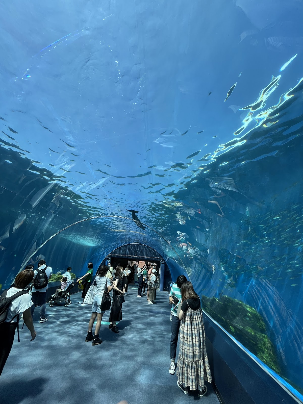Yokohama Hakkeijima Sea Paradise