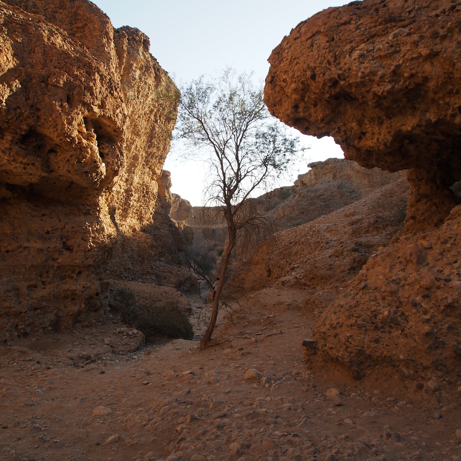 Sossusvlei National Park