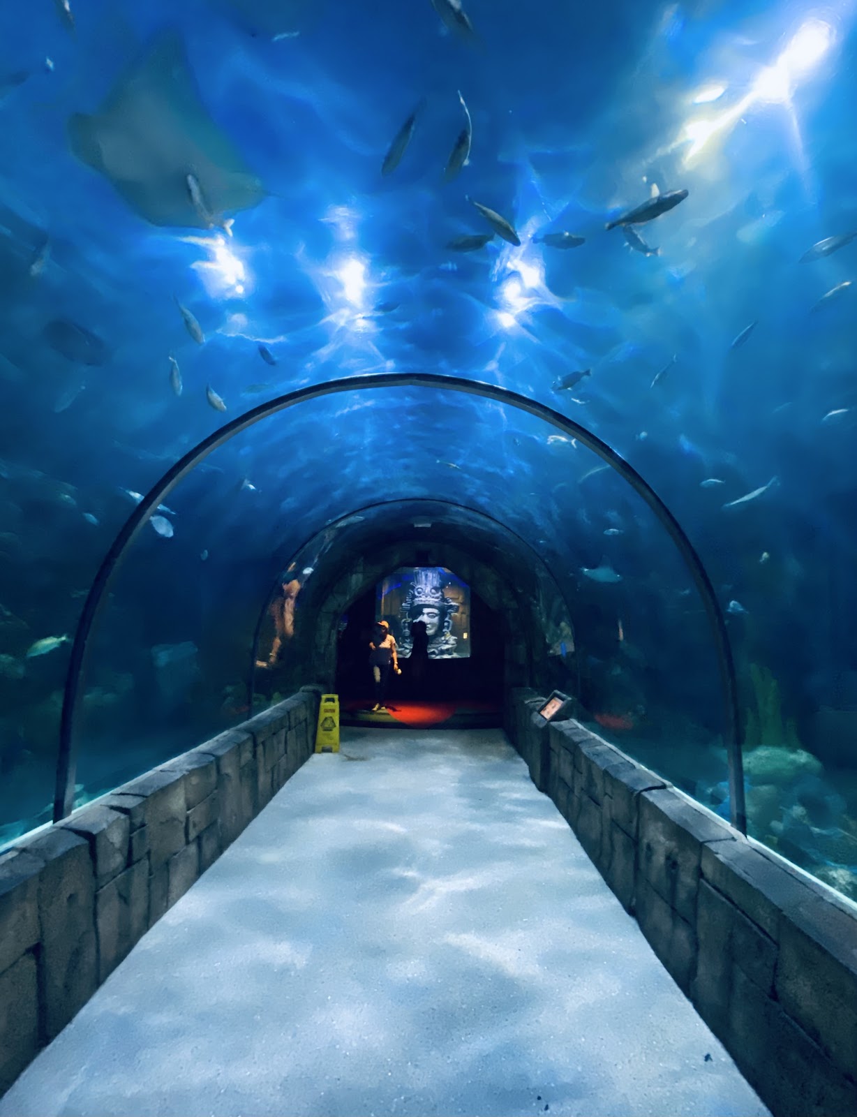 Audubon Aquarium of the Americas