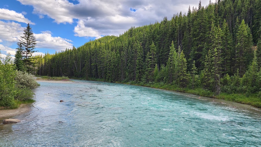 Lake Louise Shoreline Walk