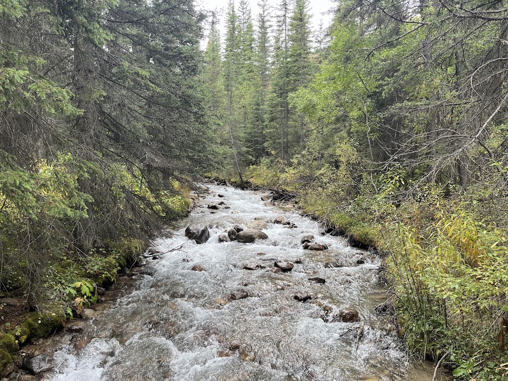 Lake Louise Shoreline Walk photo 3
