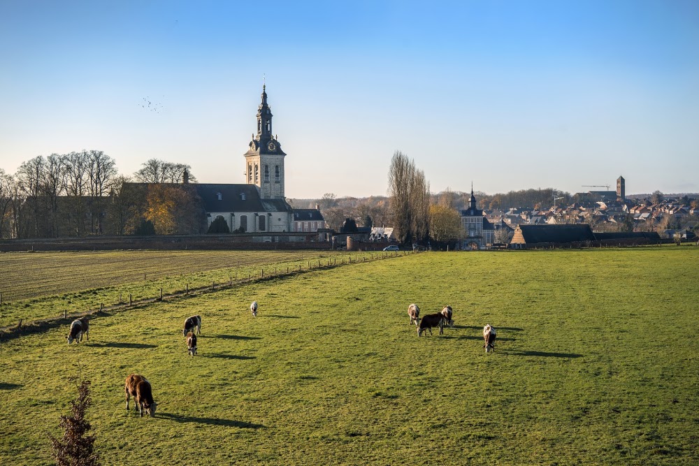 Park Abbey