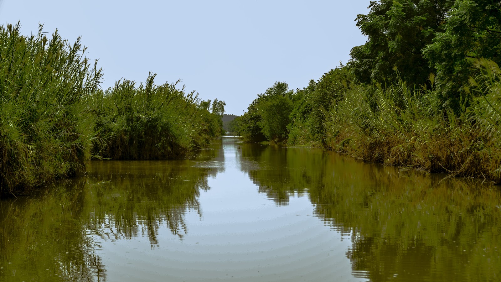 Nansha Wetland Park