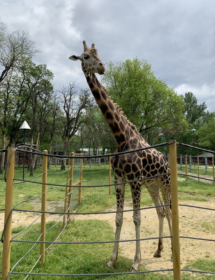 Skopje Zoo