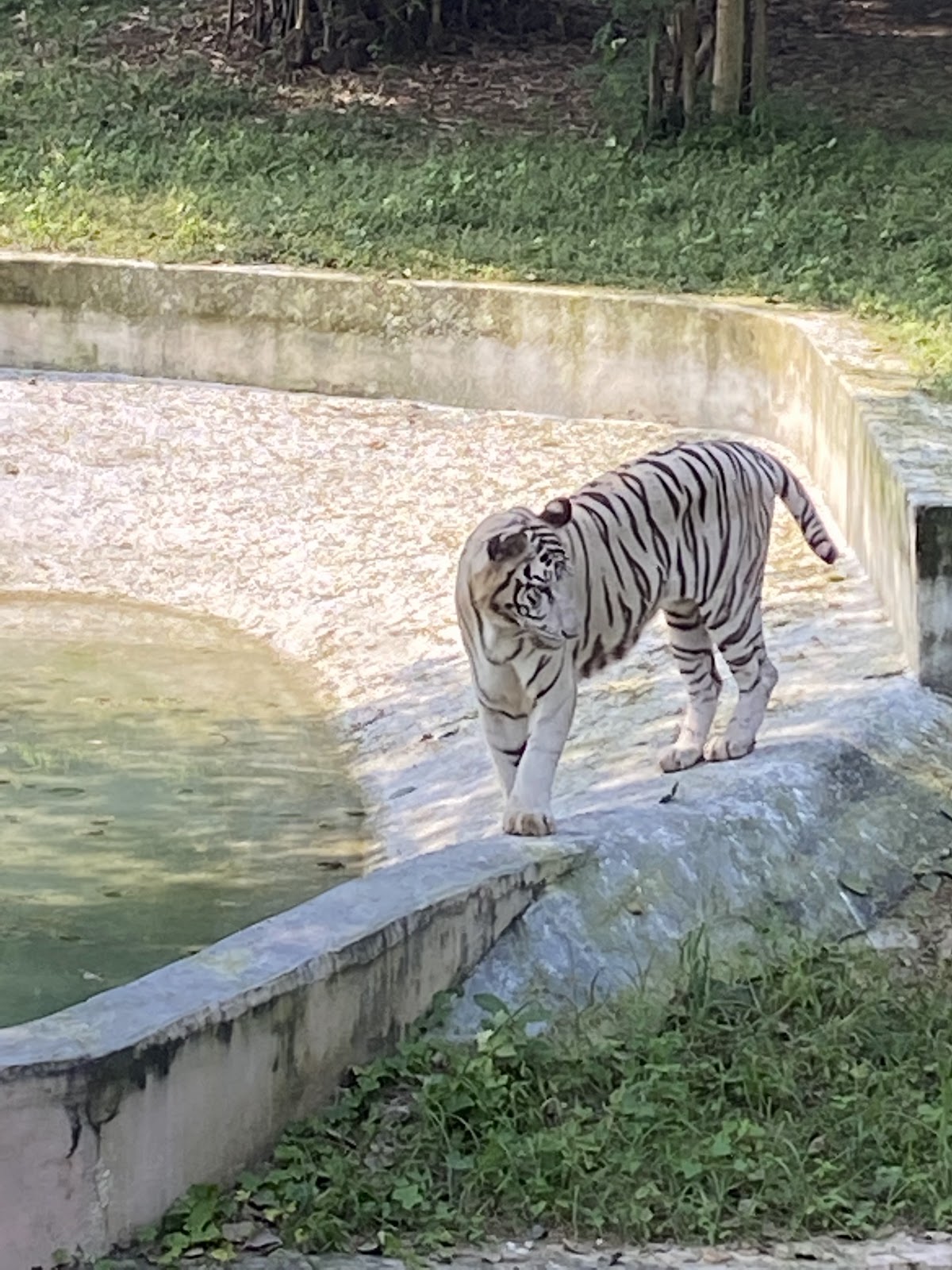 National Zoological Park