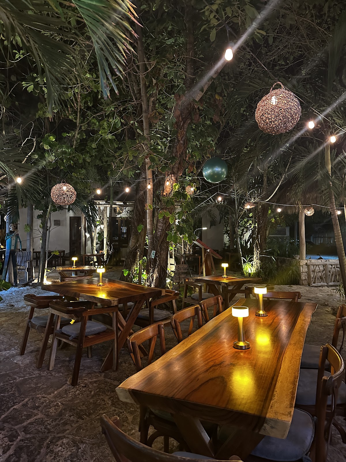 Caribbean Garden