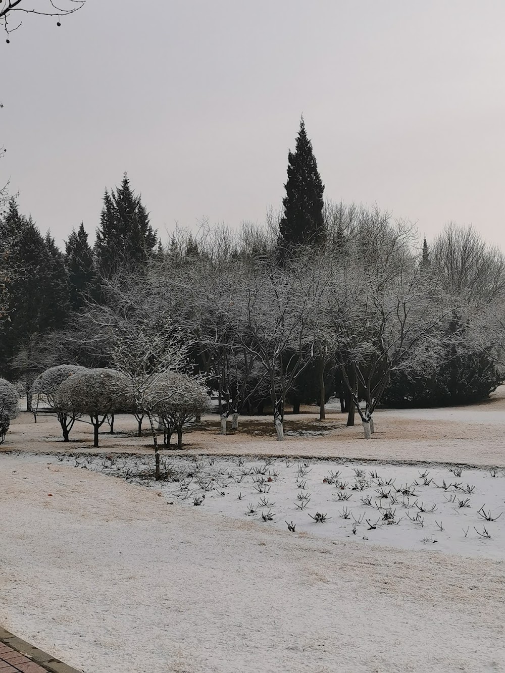 Baoding Xiyuan Park