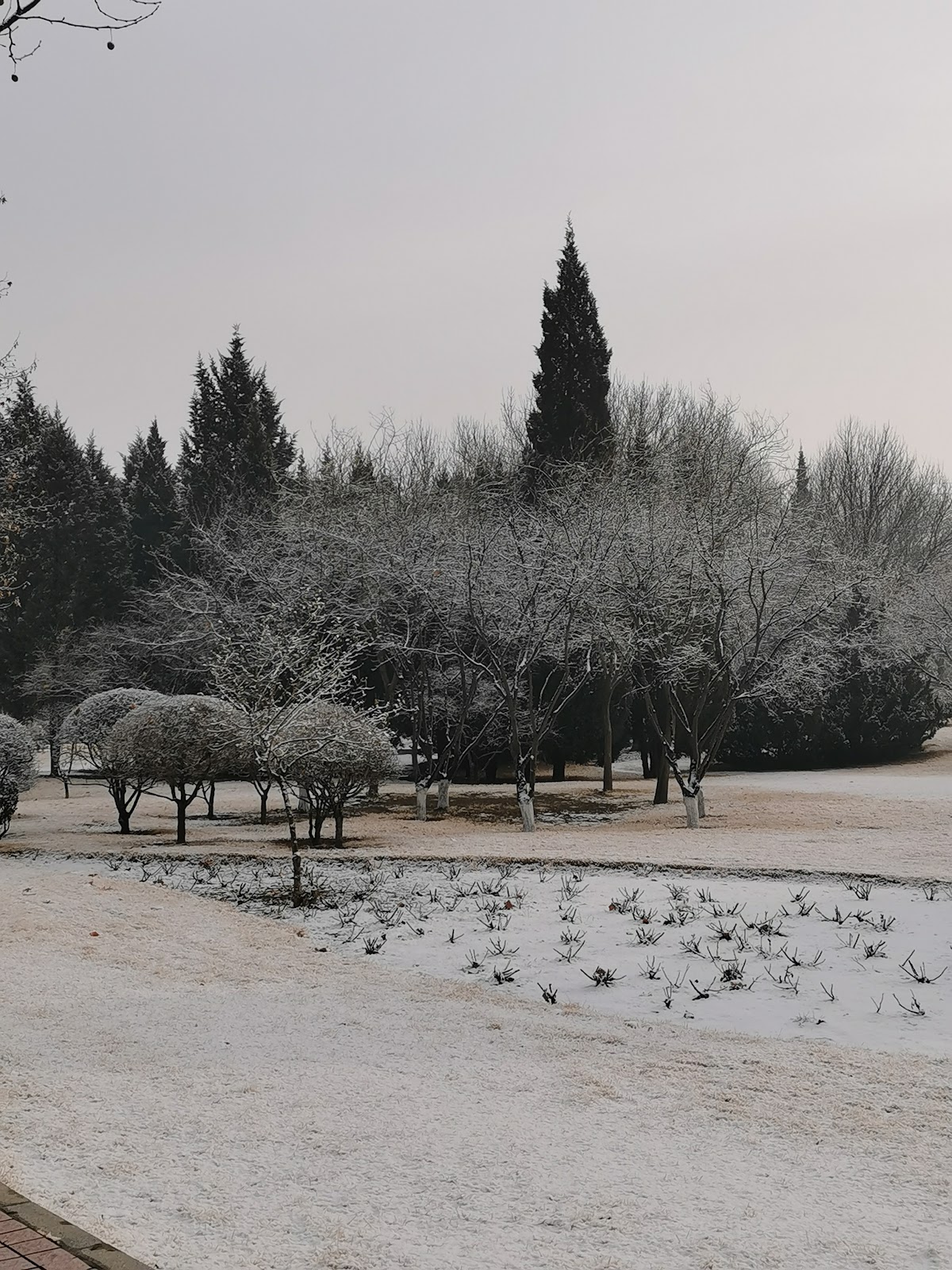 Baoding Botanical Garden