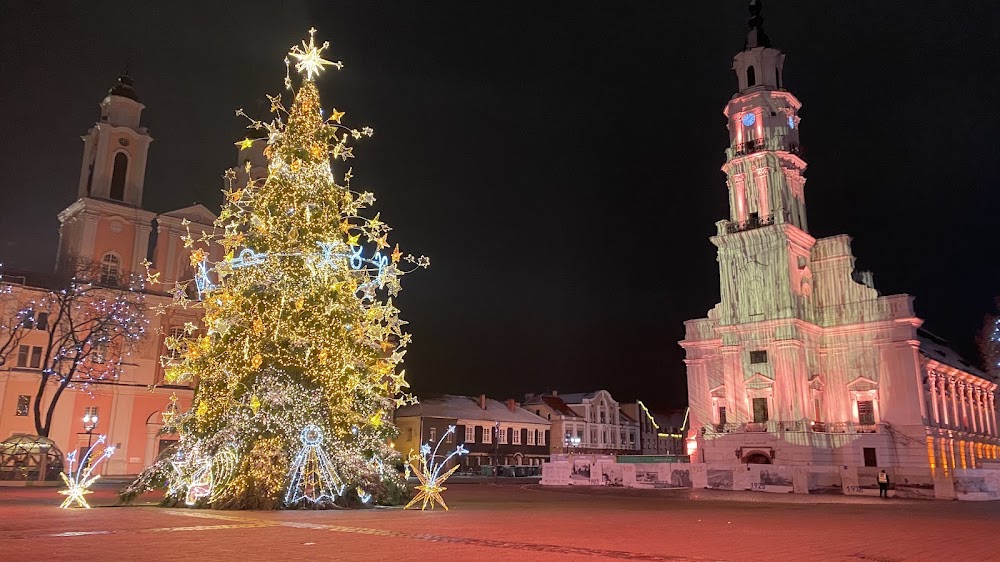 Town Hall Square photo 3