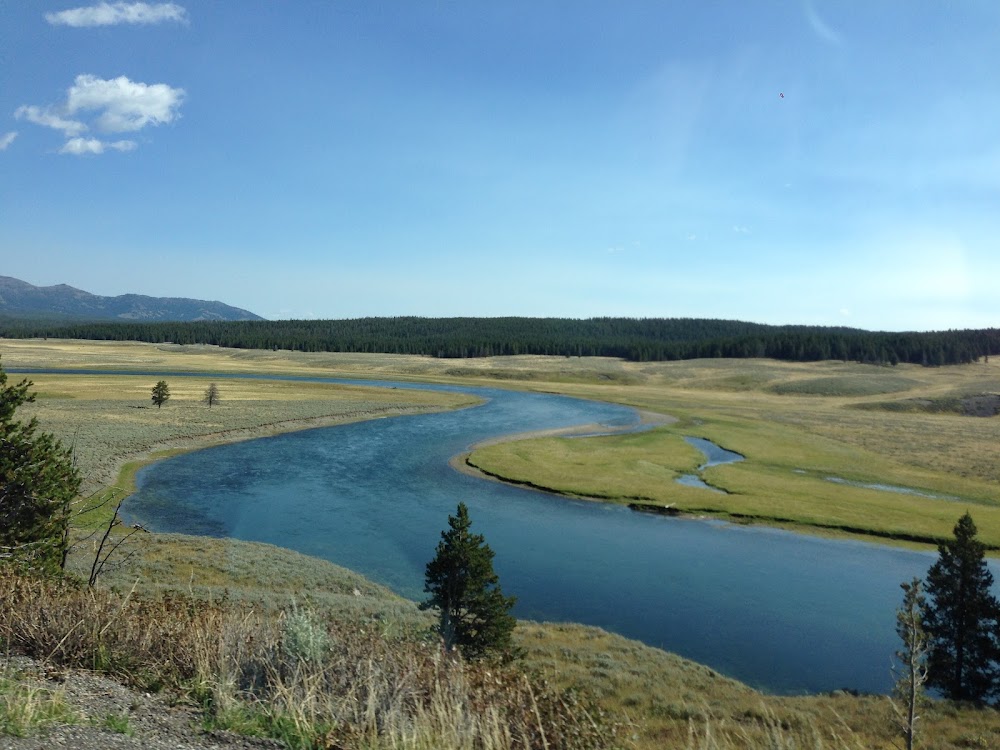 Hayden Valley Wildlife Viewing