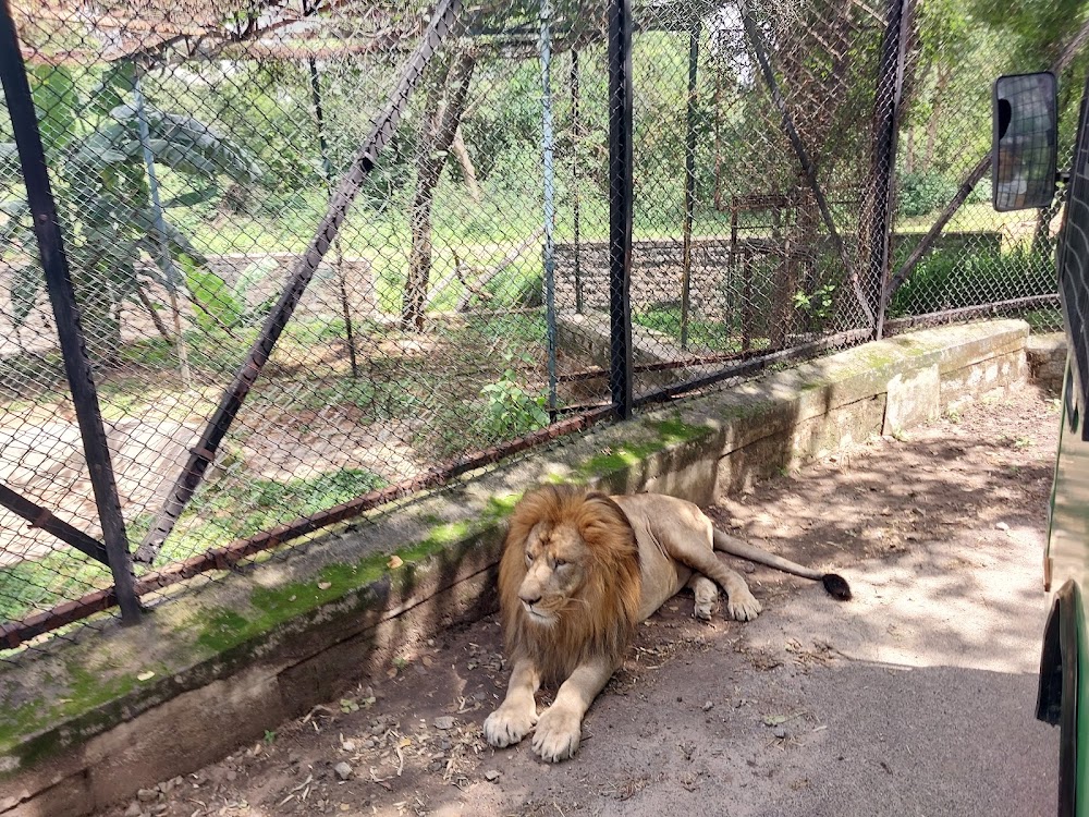 Bannerghatta National Park photo 3