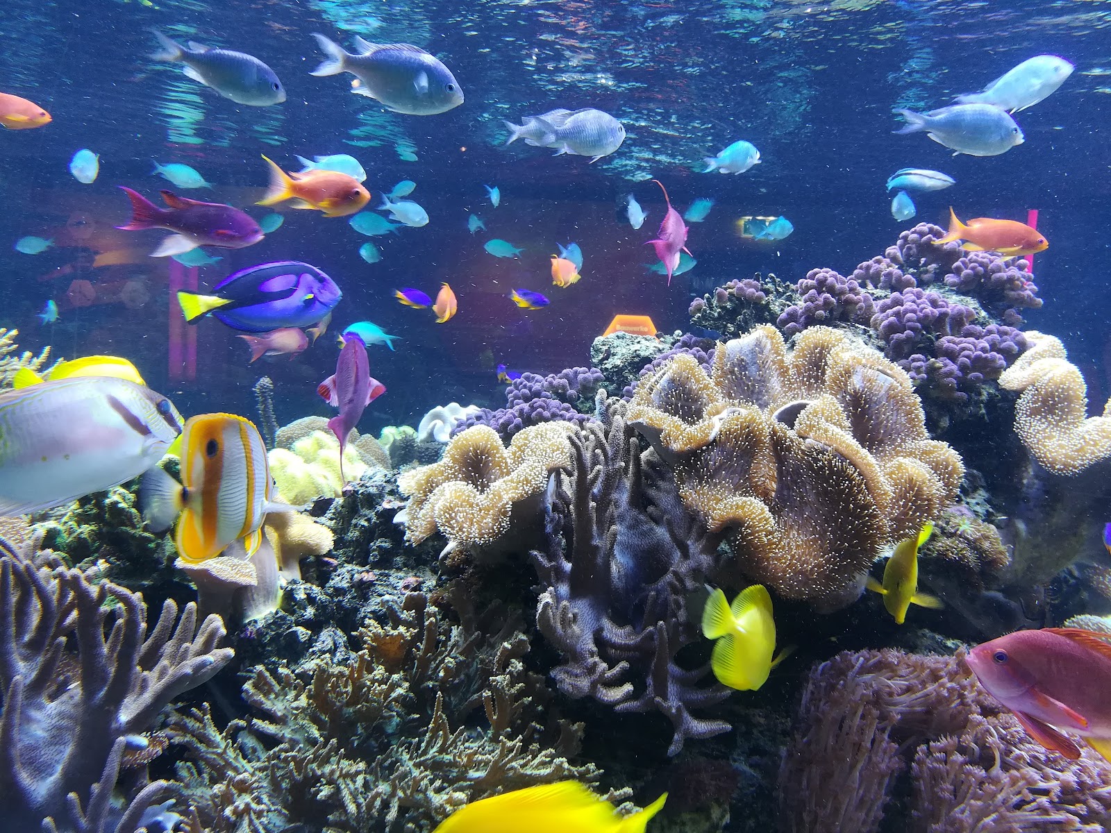 Sea Life Speyer
