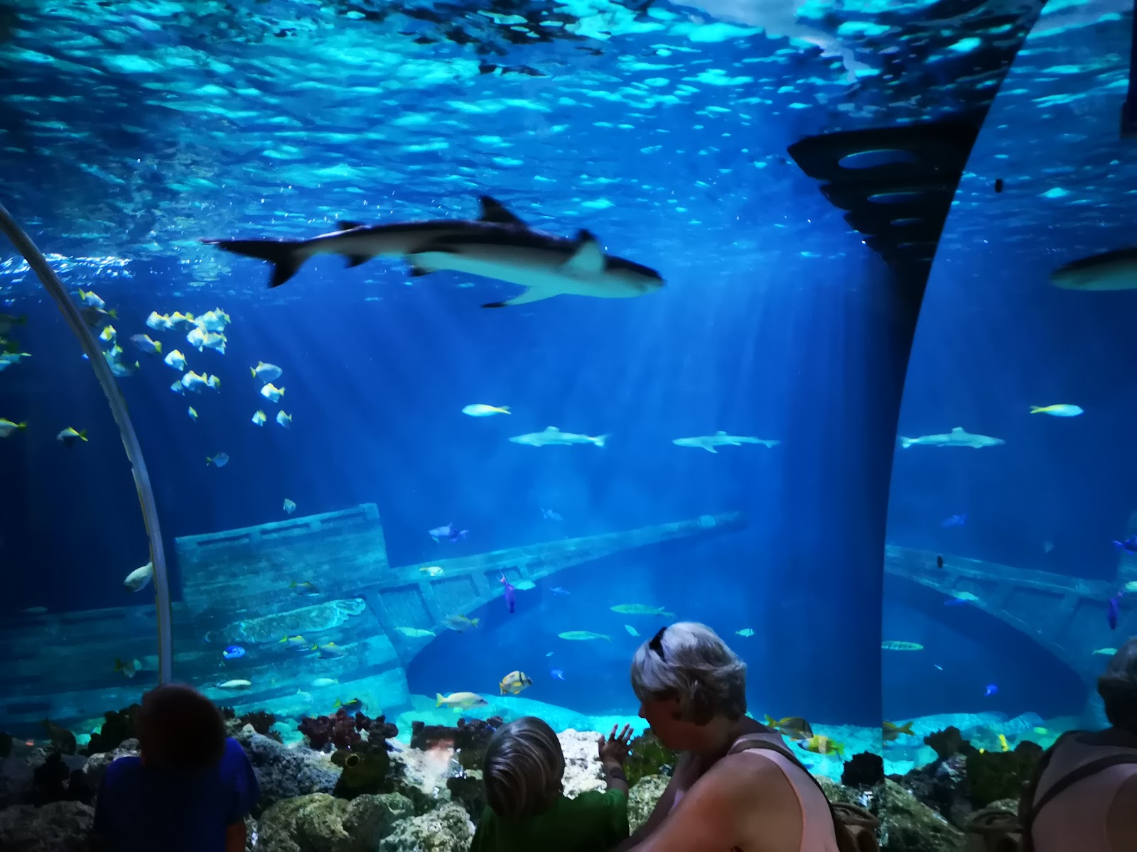 Sea Life Speyer photo 2