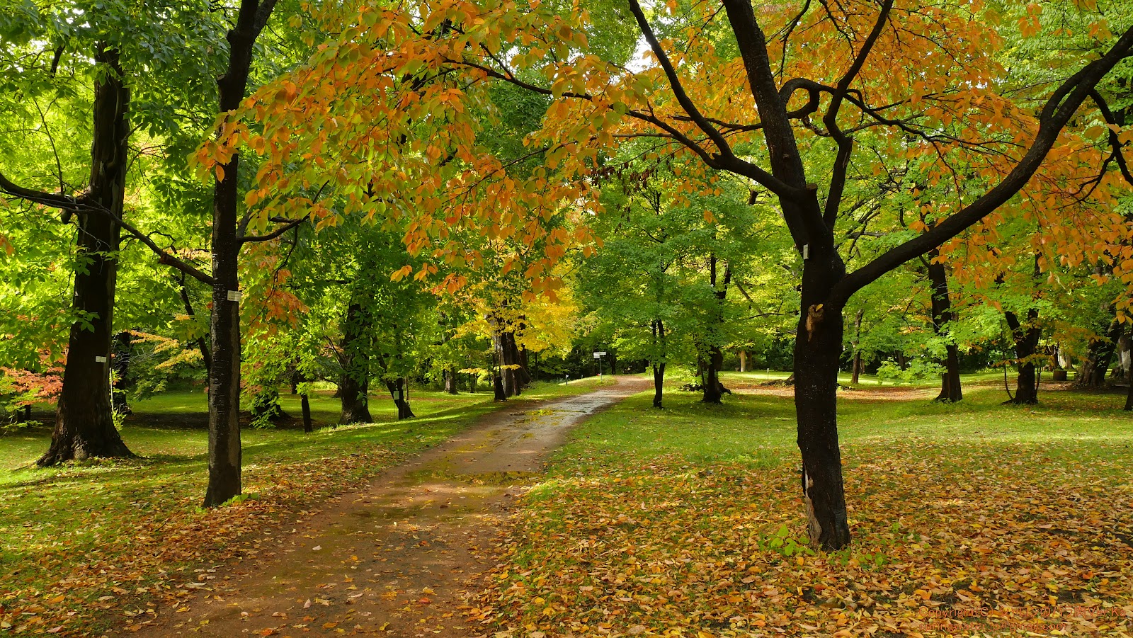 Hokkaido University Botanic Garden