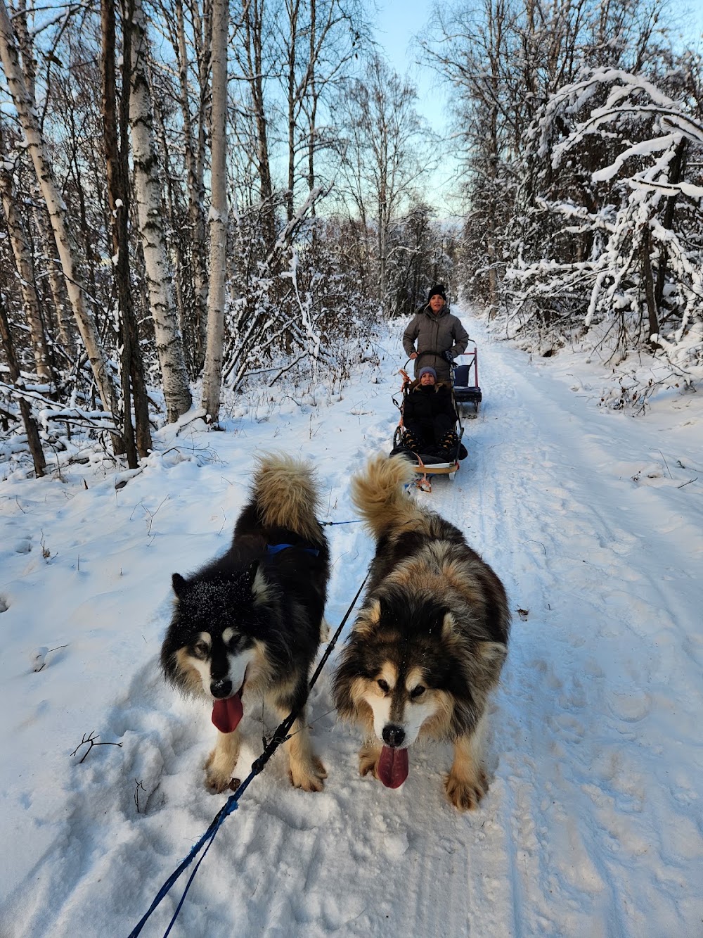 Howling Ridge Kennel