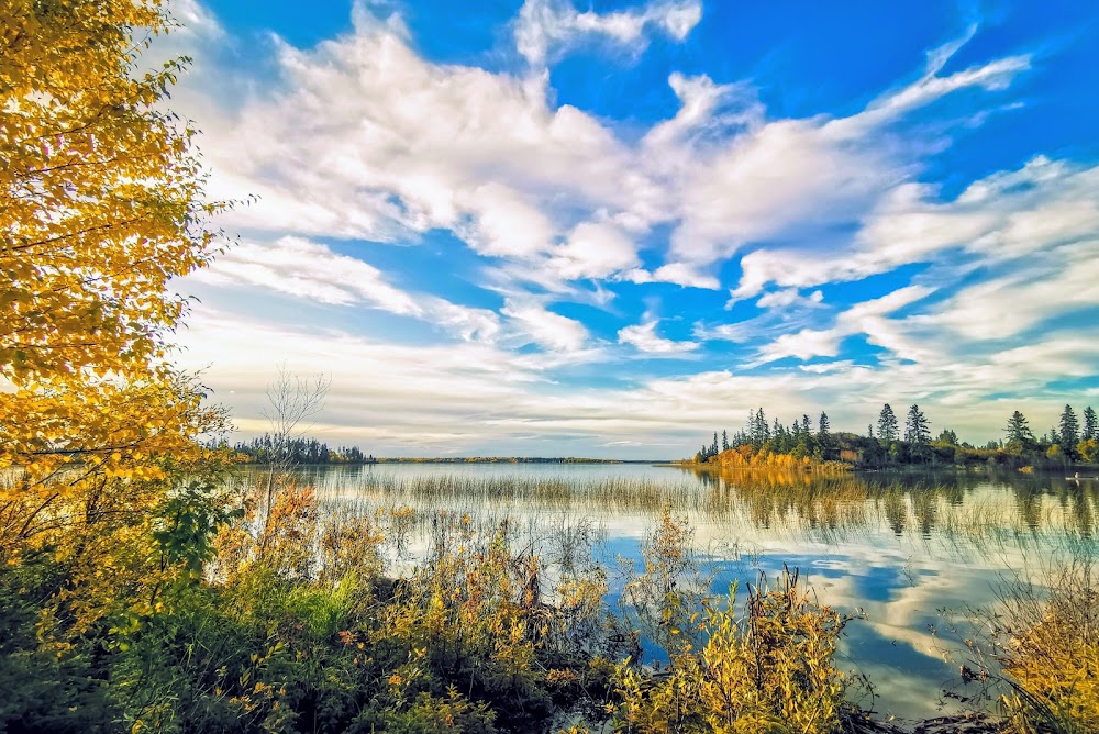 Elk Island National Park photo 3