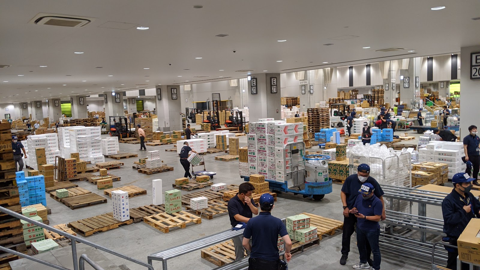 Toyosu Market photo 3