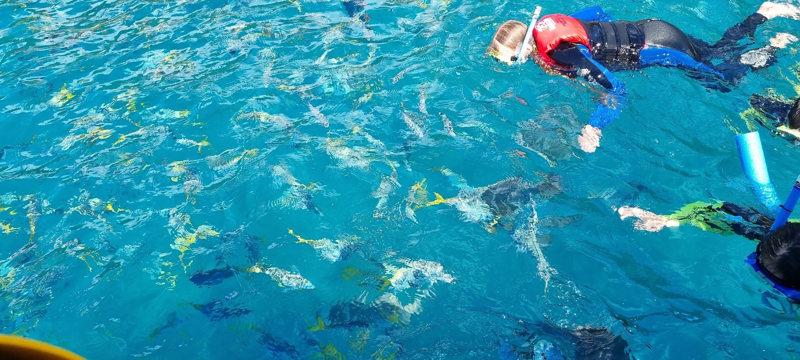 Manta Ray Bay photo 2