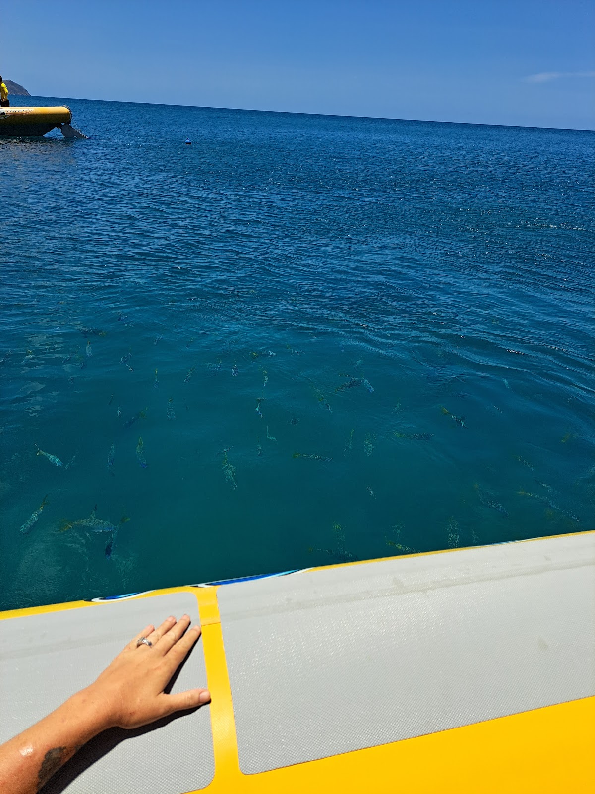 Manta Ray Bay photo 3