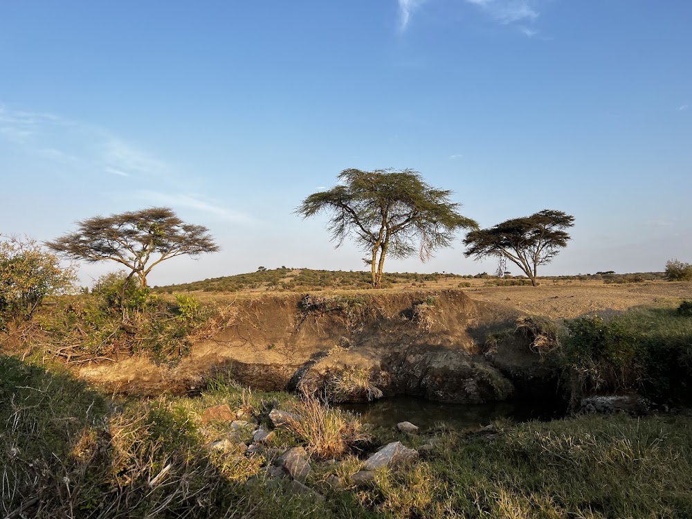 Olkinyei Conservancy photo 2
