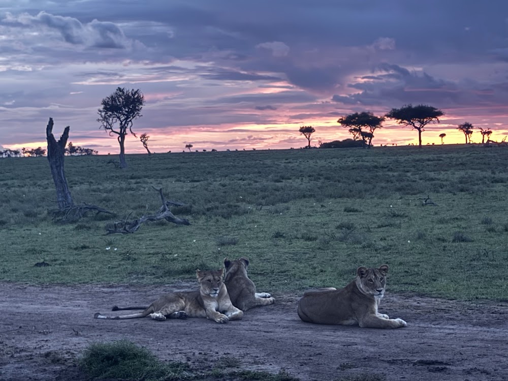 Olkinyei Conservancy photo 3