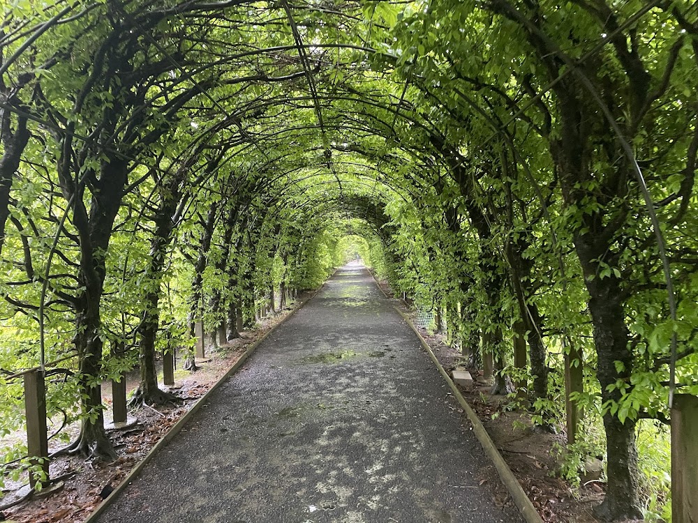 Snug Harbor Cultural Center photo 3