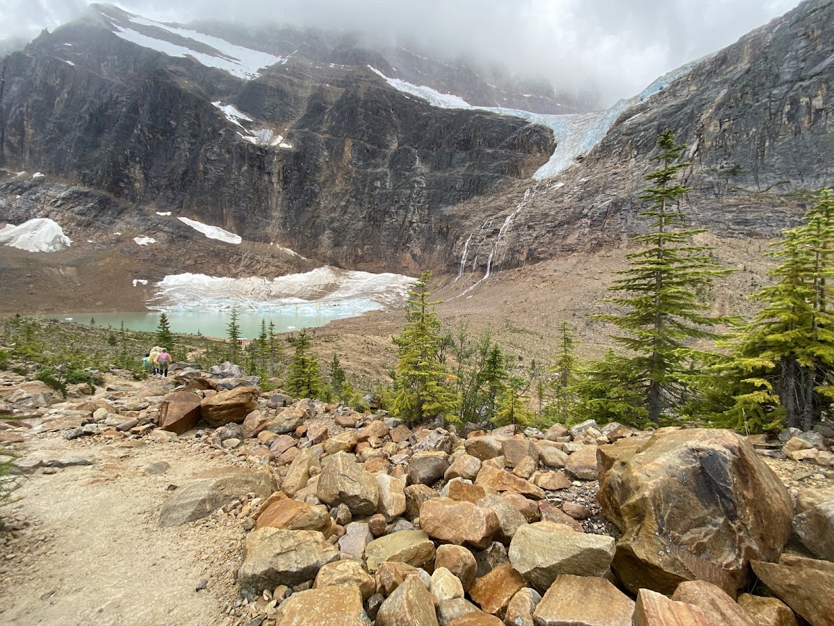 Cavell Meadows Trail