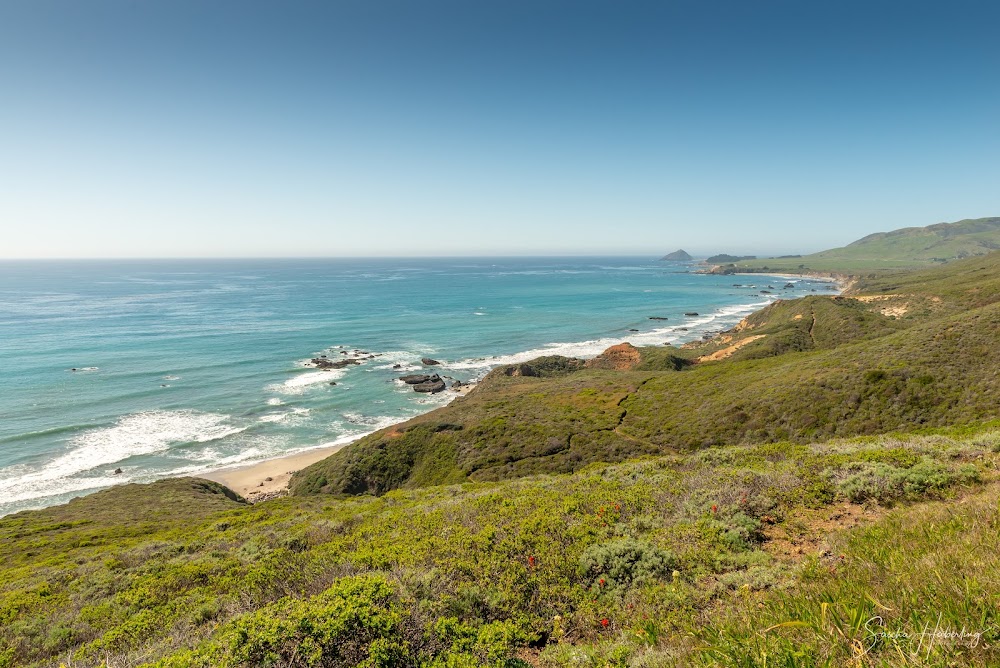 Andrew Molera State Park