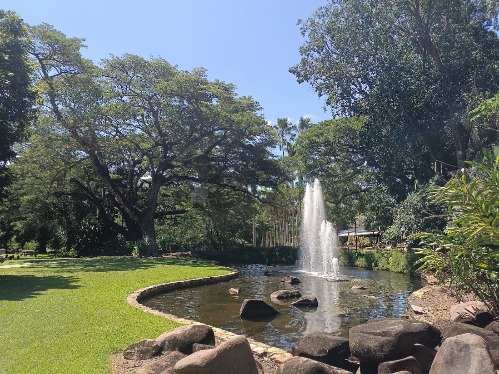 George Brown Darwin Botanic Gardens photo 3