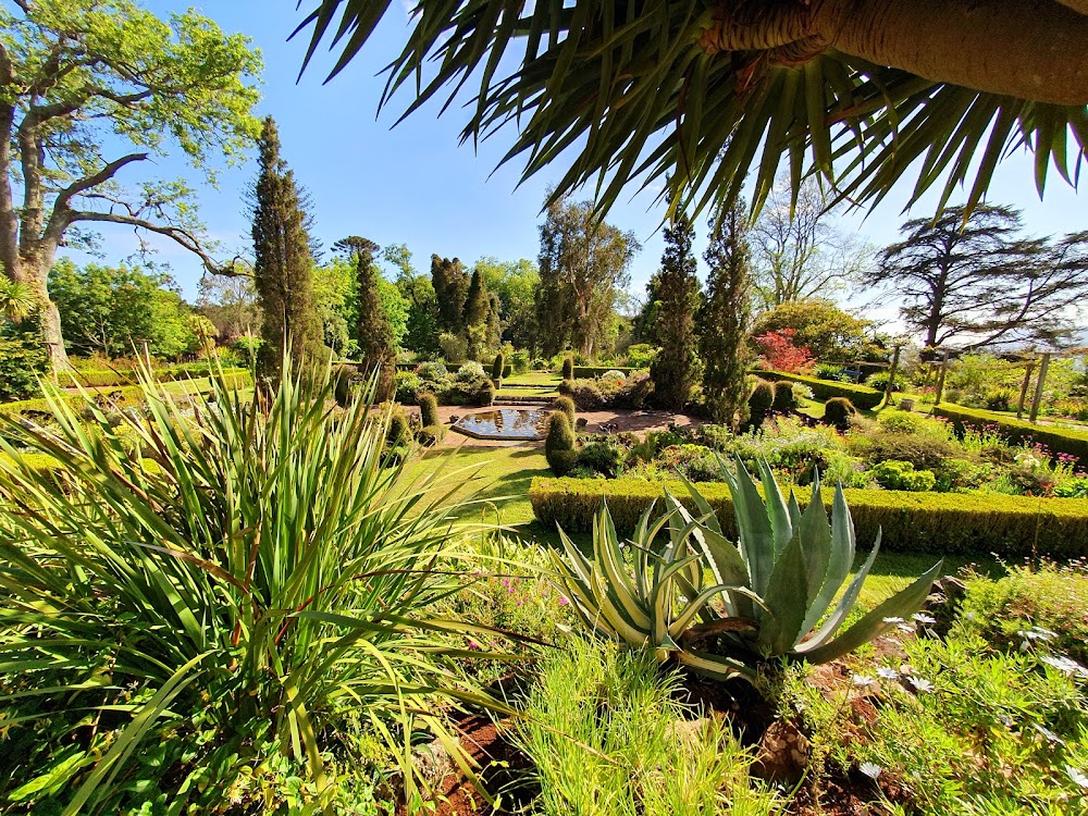 Palheiro Gardens photo 2