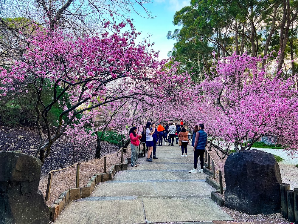 Auburn Botanic Garden