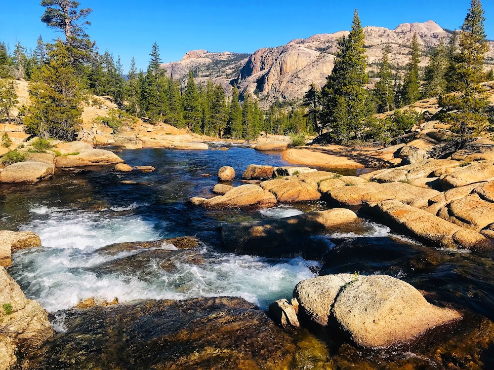 Tuolumne Meadows photo 3