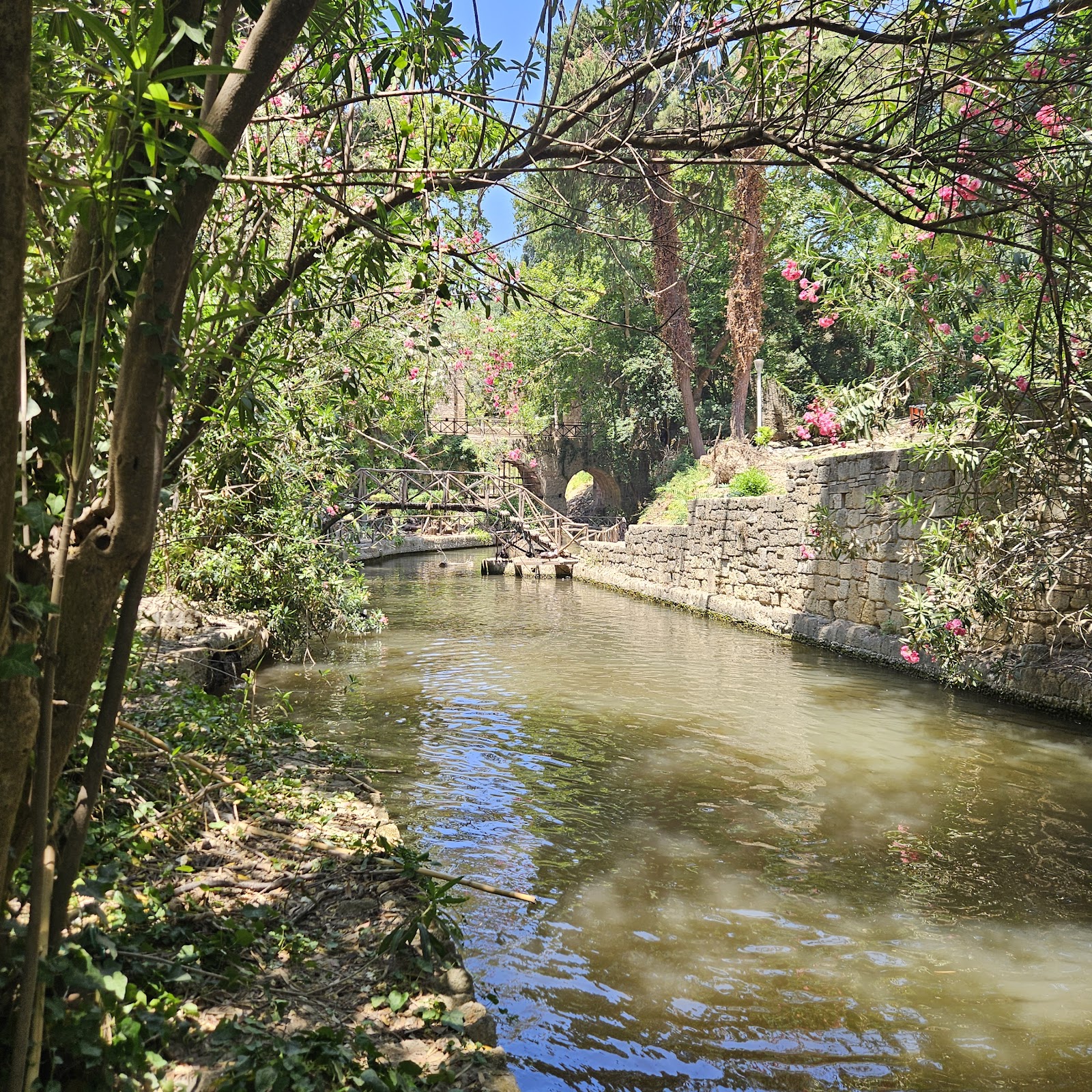Rodini Park