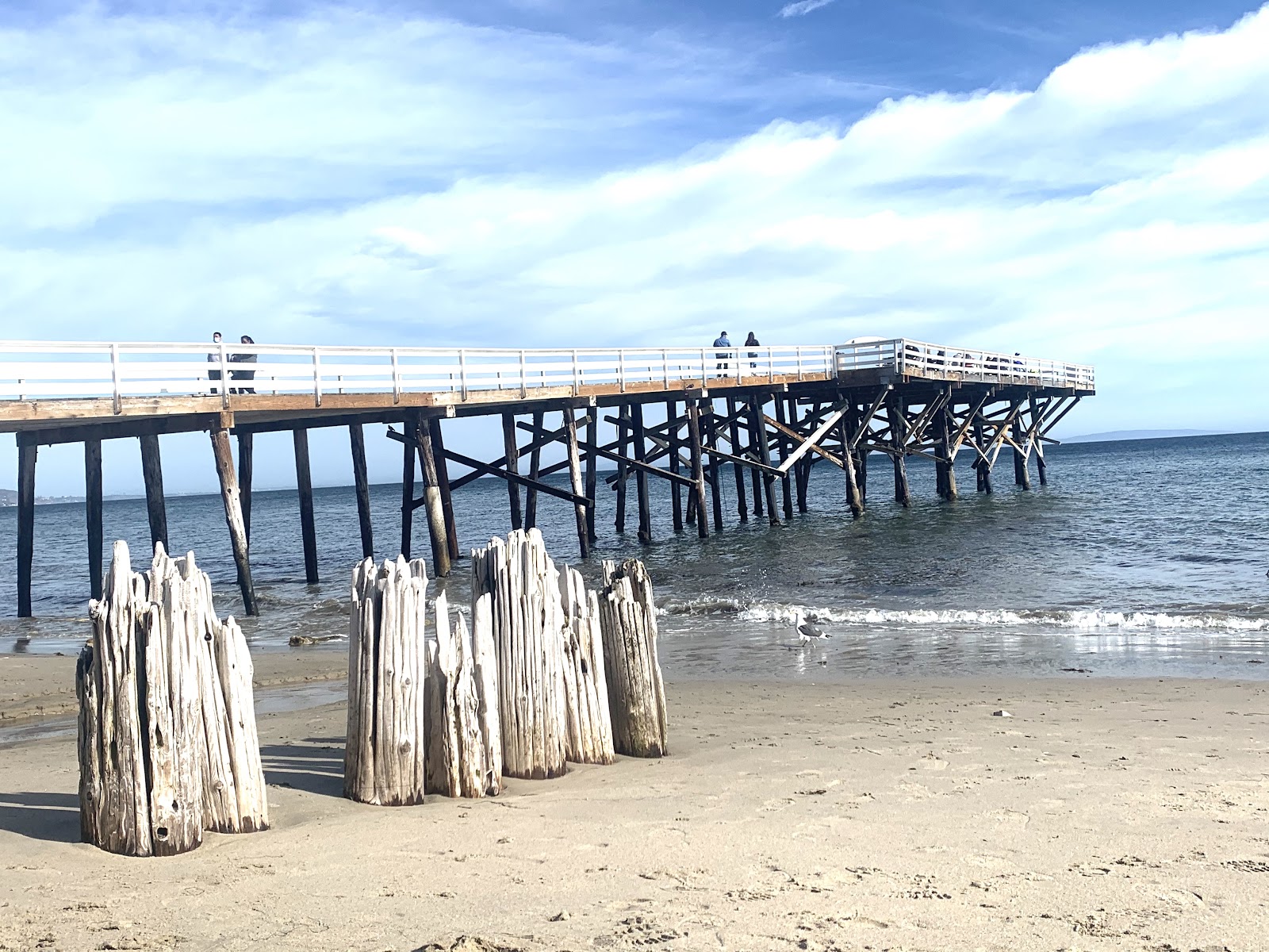 Paradise Cove