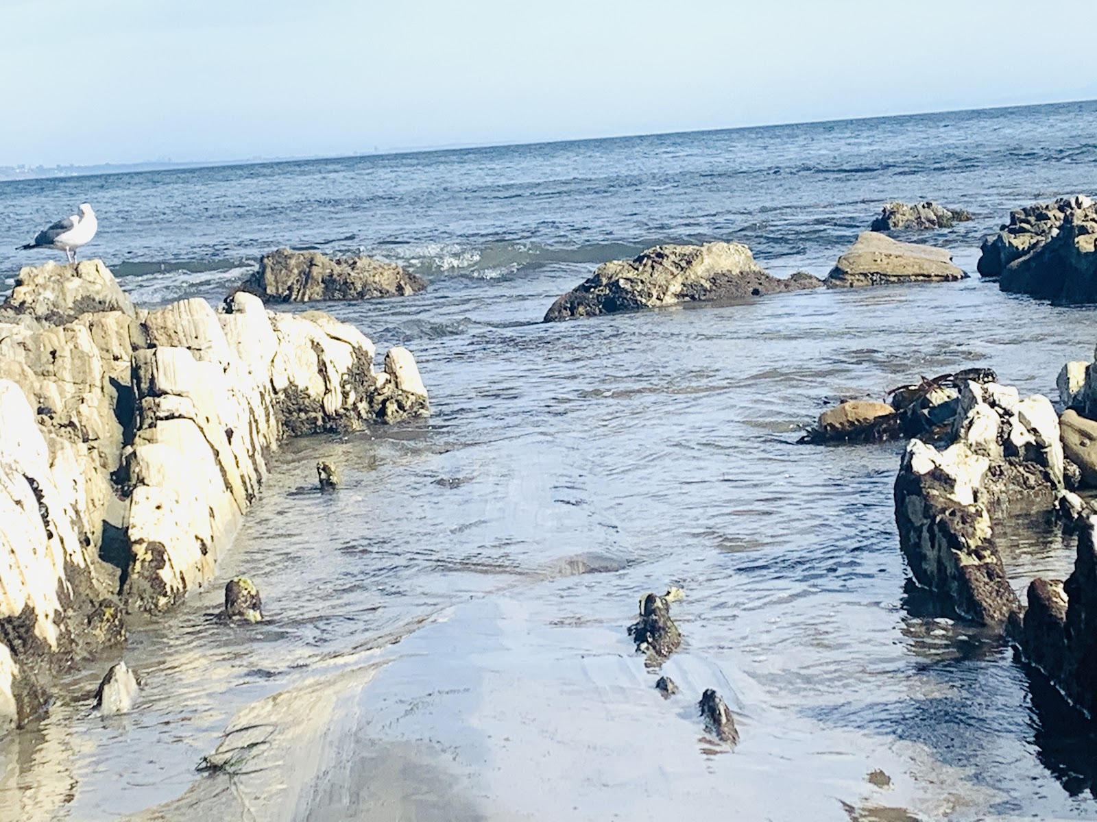 Paradise Cove photo 2
