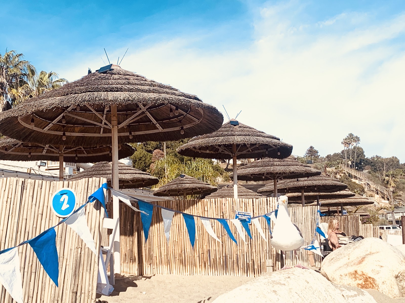 Paradise Cove photo 3