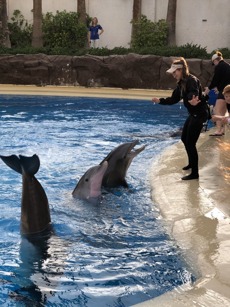 Siegfried & Roy's Secret Garden and Dolphin Habitat