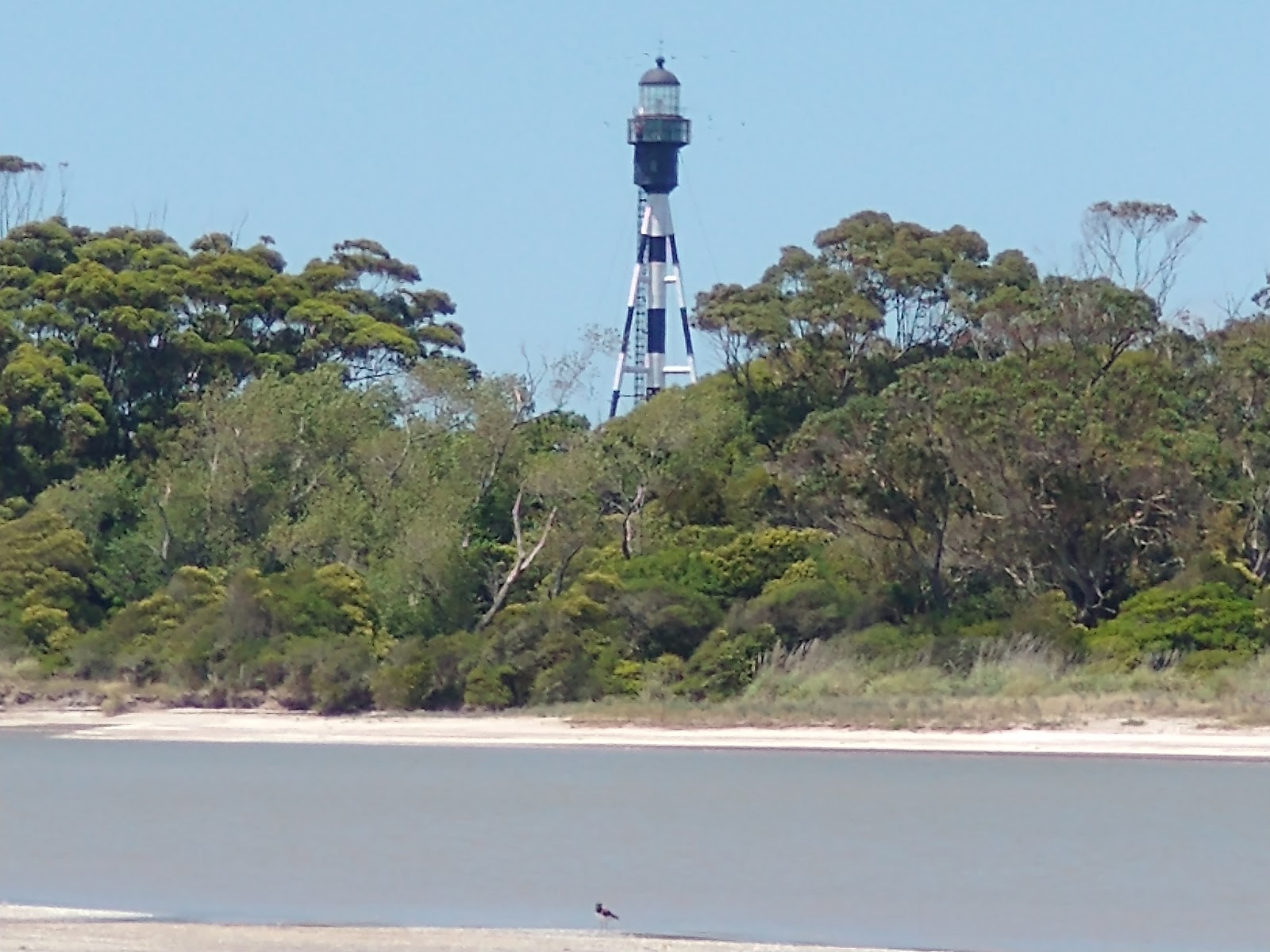 Punta Rasa