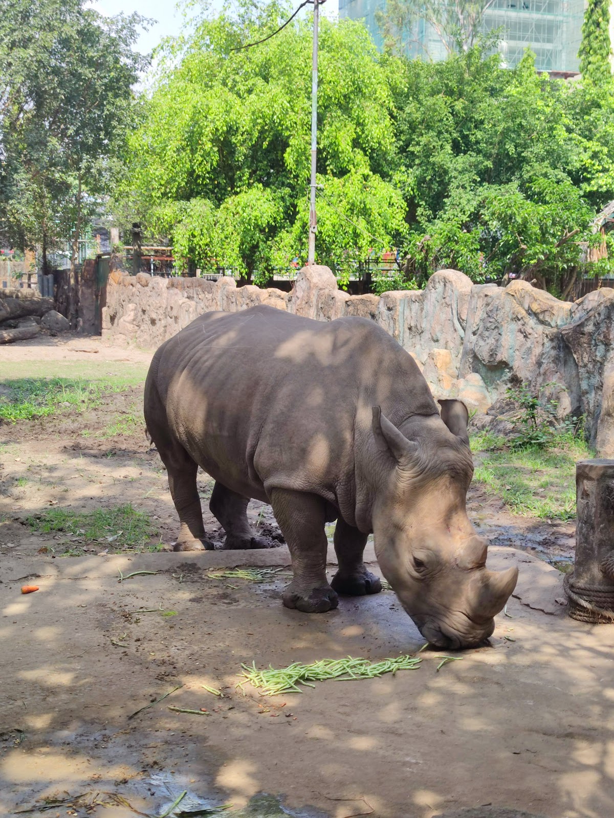 Saigon Botanic Garden and Zoo