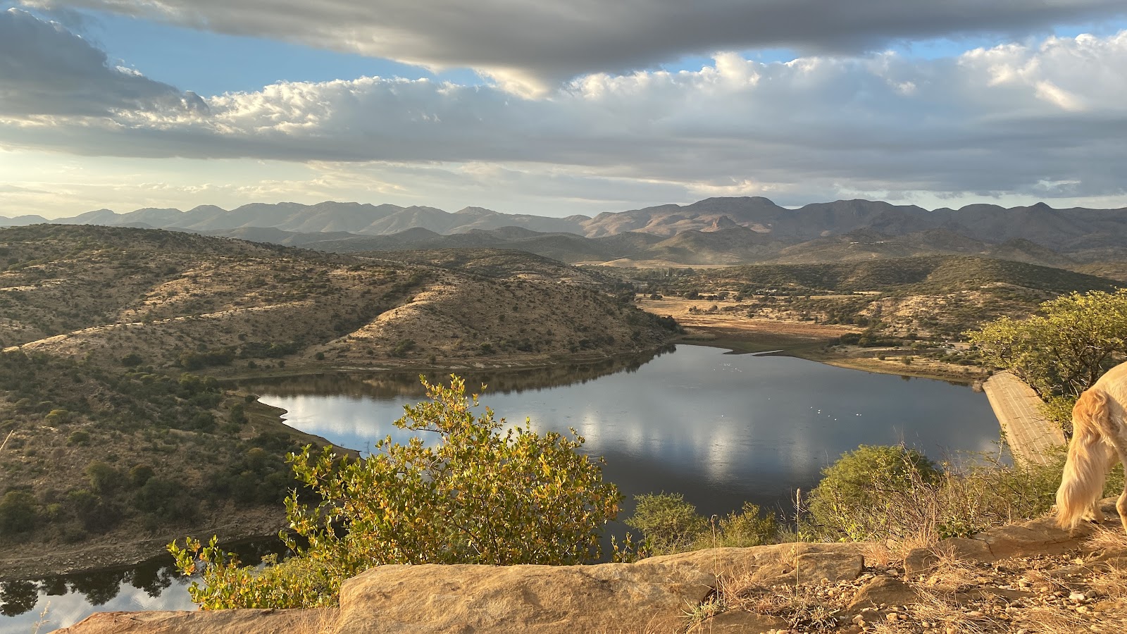 Avis Dam Nature Reserve
