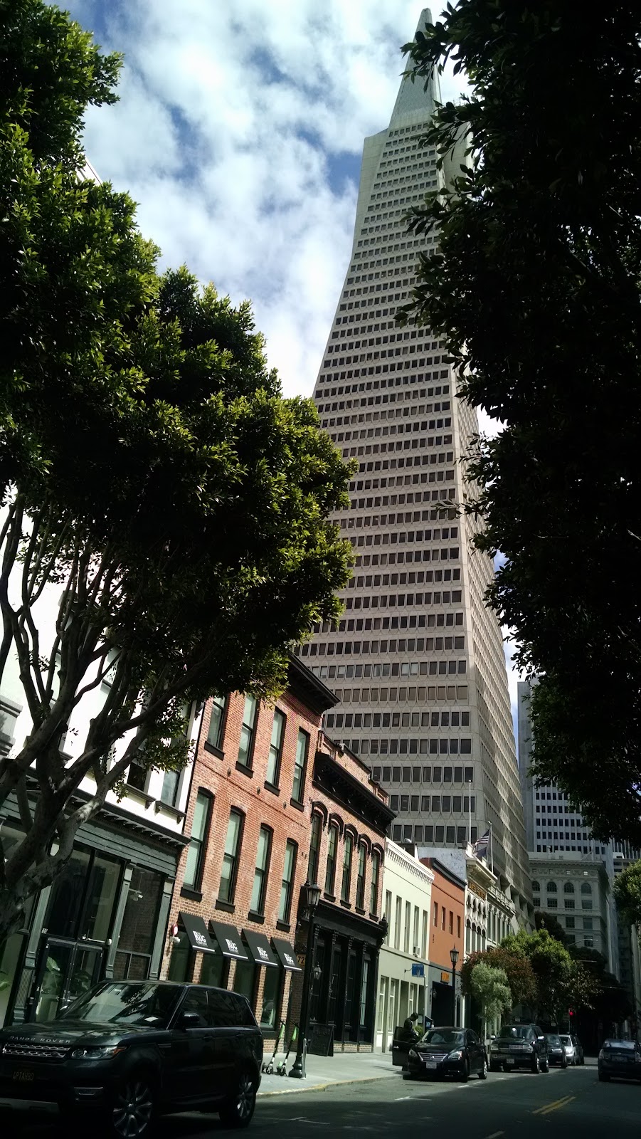 Jackson Square photo 2