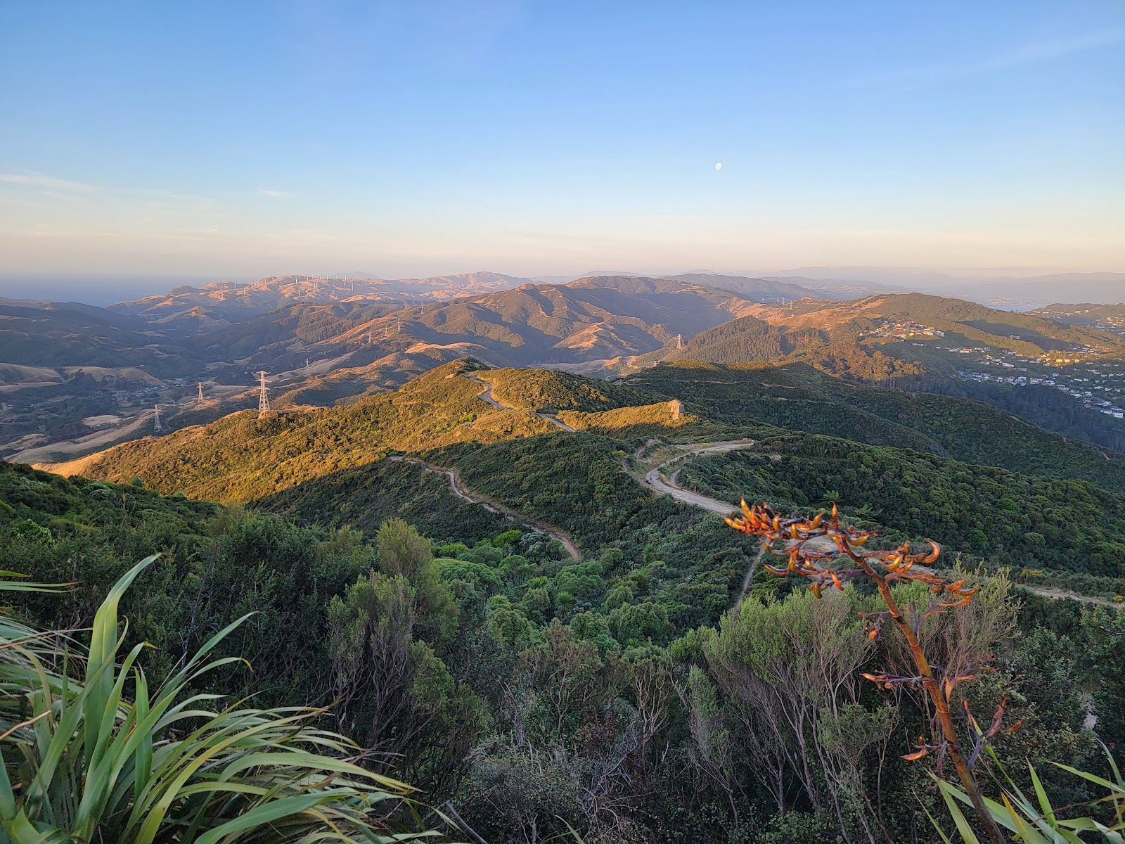 Makara Peak Mountain Bike Park