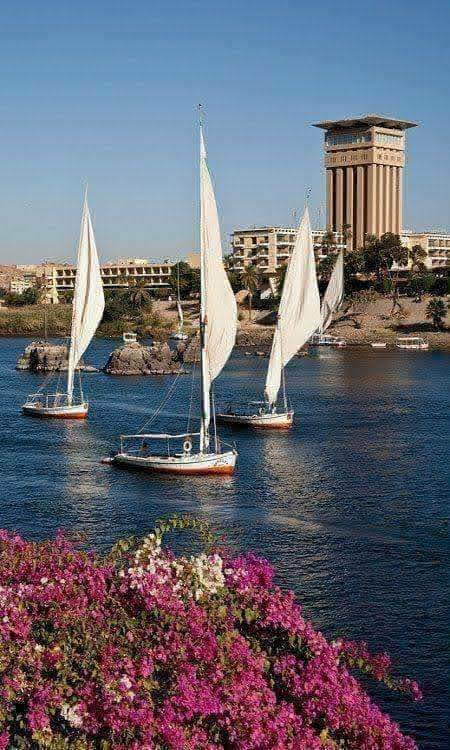 Café Oum Kalthoum photo 3