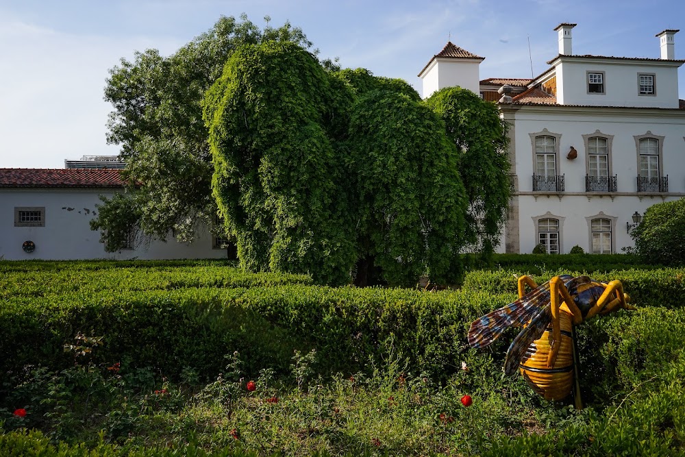 Museu de Lisboa - Palácio Pimenta