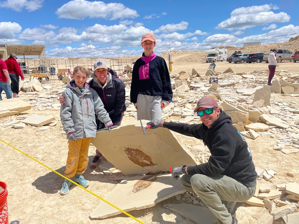 Fossil Safari
